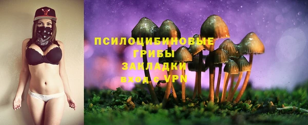тгк Баксан