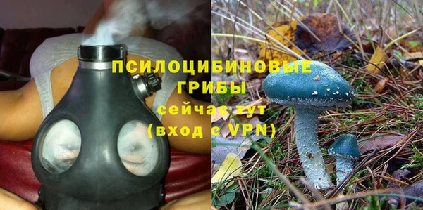 тгк Баксан