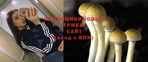 тгк Баксан