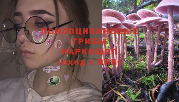 тгк Баксан