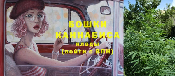 шишки Балабаново