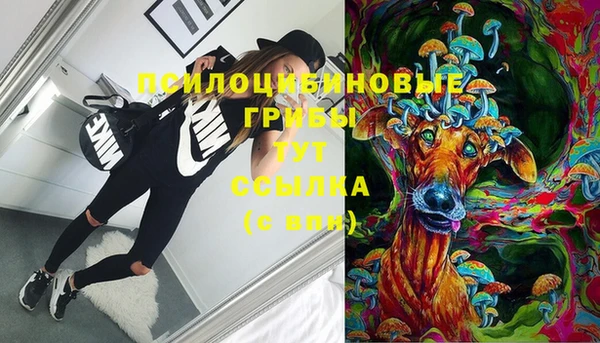 стафф Балахна