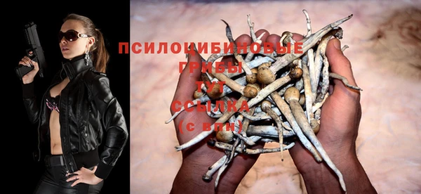 стафф Балахна